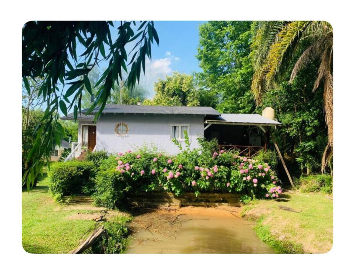 Casa Nolita Villa Tigre Dış mekan fotoğraf